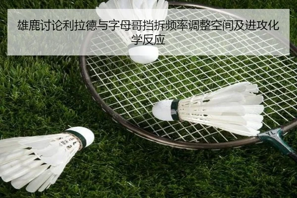 雄鹿讨论利拉德与字母哥挡拆频率调整空间及进攻化学反应 | kaiyun