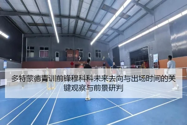 多特蒙德青训前锋穆科科未来去向与出场时间的关键观察与前景研判（kaiyun）